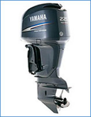 Product picture 1995 Yamaha 115hp Outboard Service Manual Download